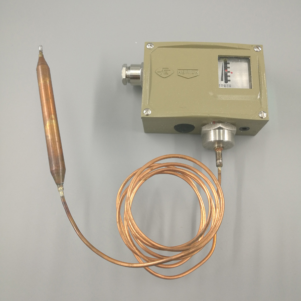 D541/7T防爆型温度控制器